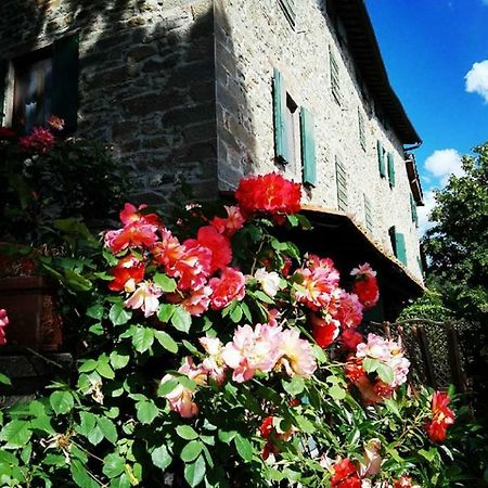 Podere I Rovai-Apt Il Rifugio- In The Heart Of Tuscany 레겔로 외부 사진