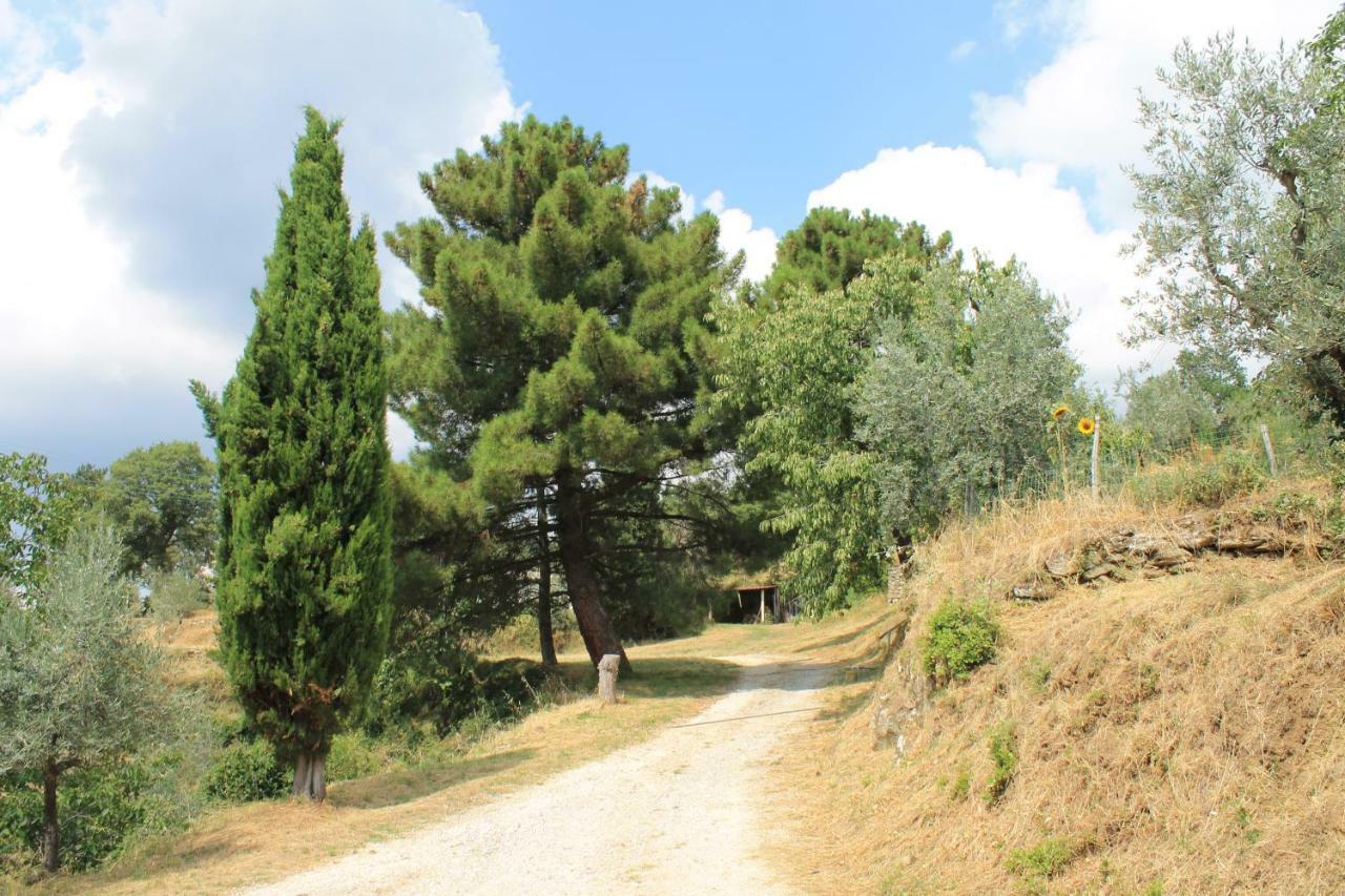 Podere I Rovai-Apt Il Rifugio- In The Heart Of Tuscany 레겔로 외부 사진