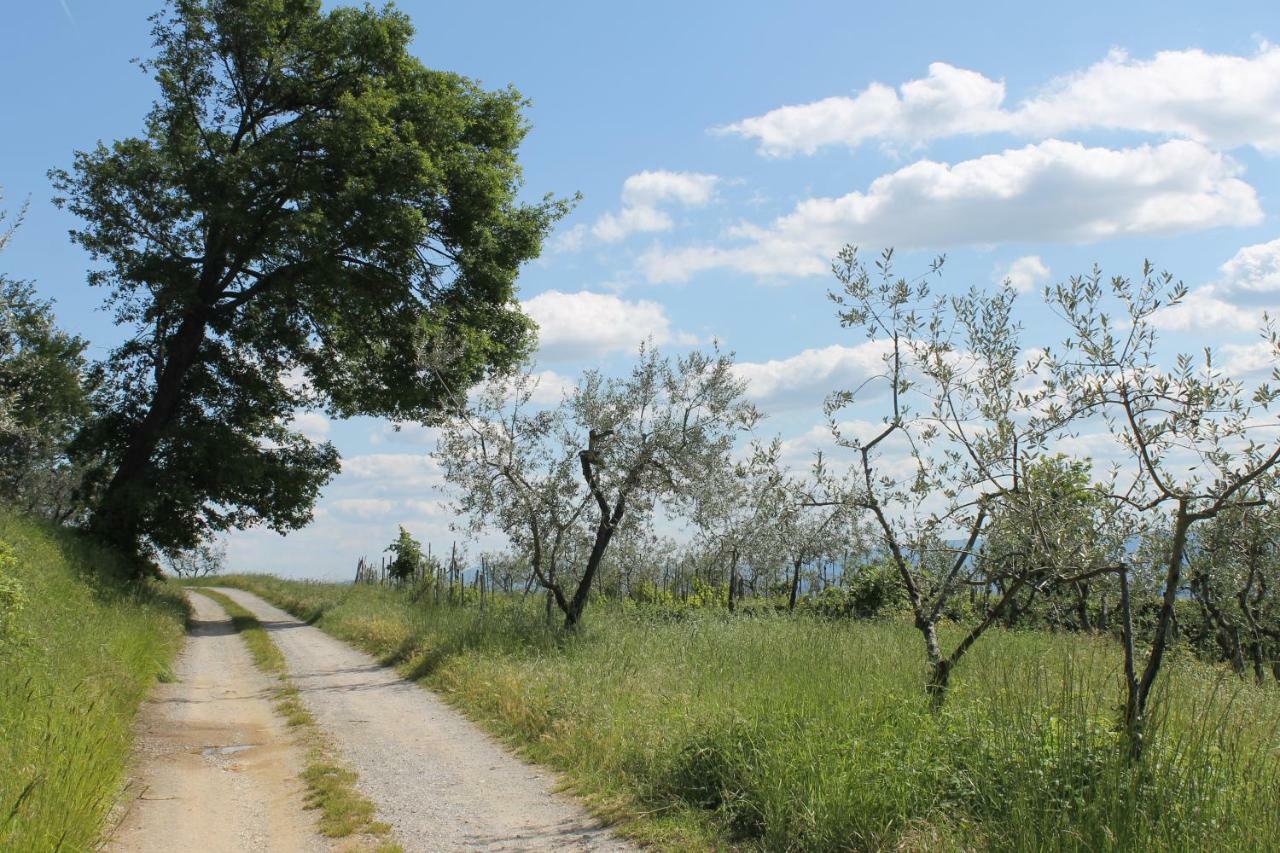 Podere I Rovai-Apt Il Rifugio- In The Heart Of Tuscany 레겔로 외부 사진